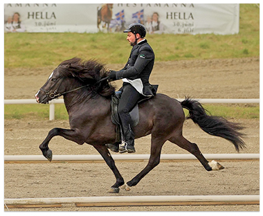 Lexus frá Vatnsleysu