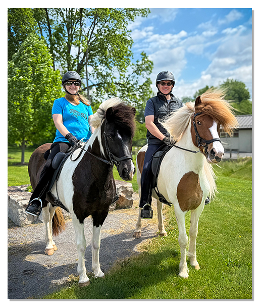 Sand Meadow Farm Icelandic horse